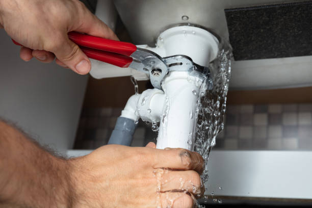 Best Water damage restoration near me  in Mosheim, TN