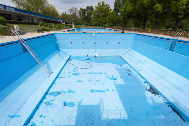 Best Sewage cleanup and water damage restoration  in Mosheim, TN