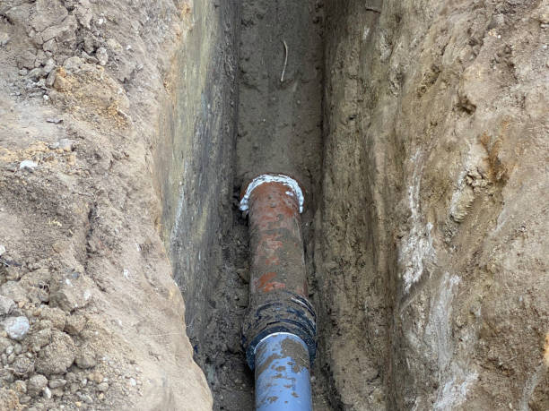 Best 24/7 water damage repair  in Mosheim, TN