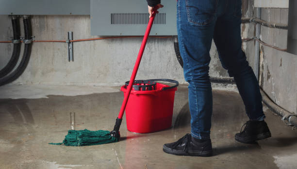 Best Basement water damage restoration  in Mosheim, TN