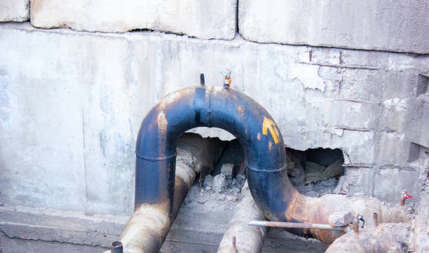 Best Flood restoration services  in Mosheim, TN