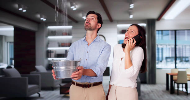 Best Water damage restoration near me  in Mosheim, TN