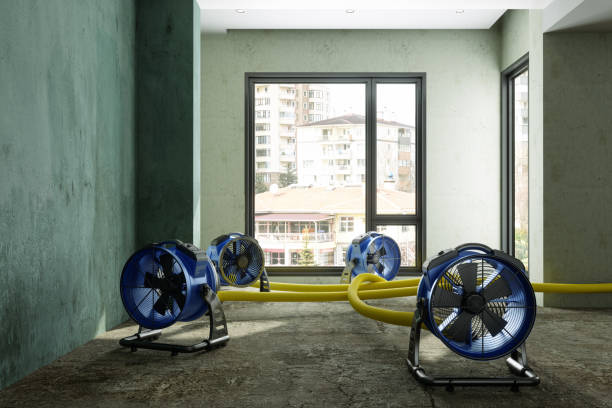 Best Water damage restoration cost  in Mosheim, TN