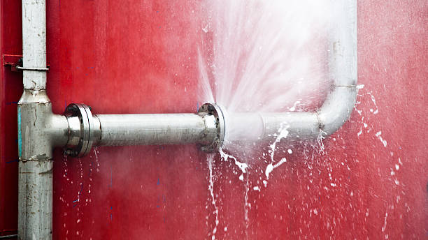 Best Fire Damage Restoration  in Mosheim, TN